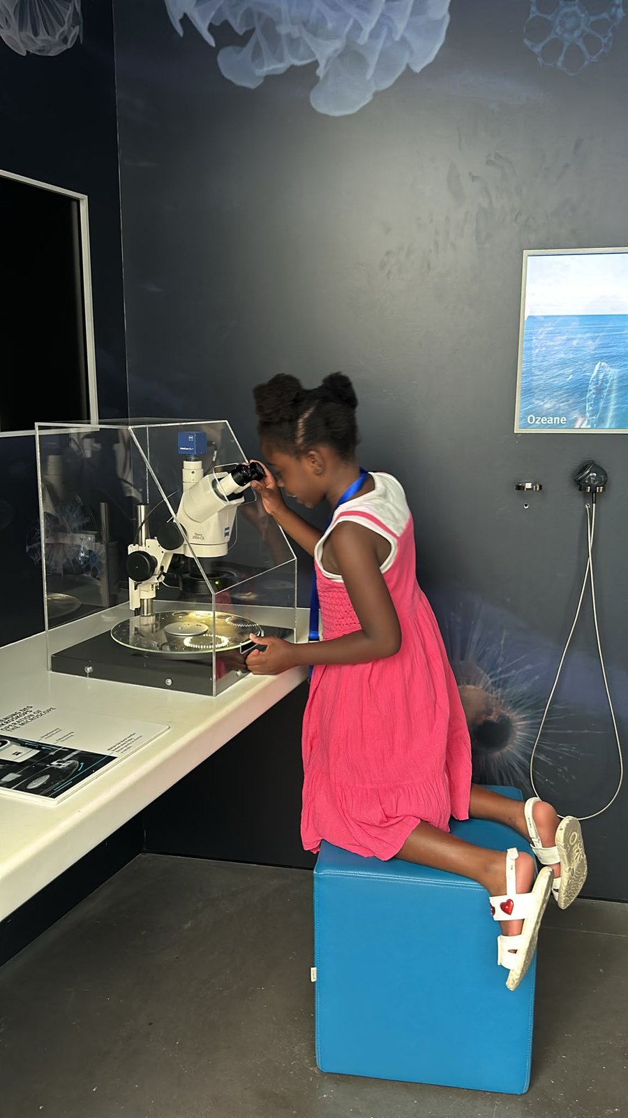 A child at the microscope during a science excursion