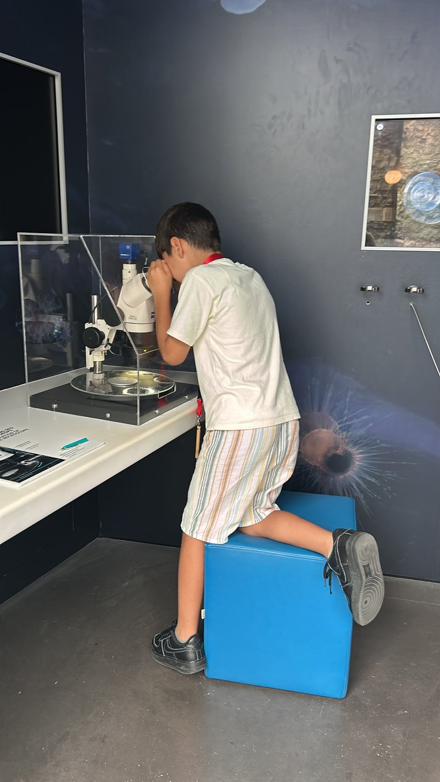 A child at the microscope, working a question through